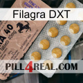 Filagra DXT 41